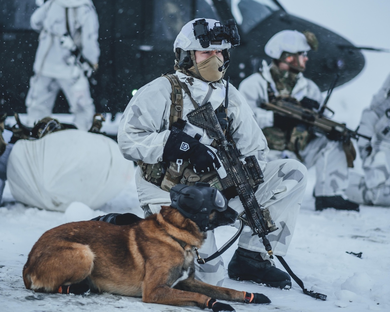 northern norway, exercise arctic hawk, norwegian coastal rangers