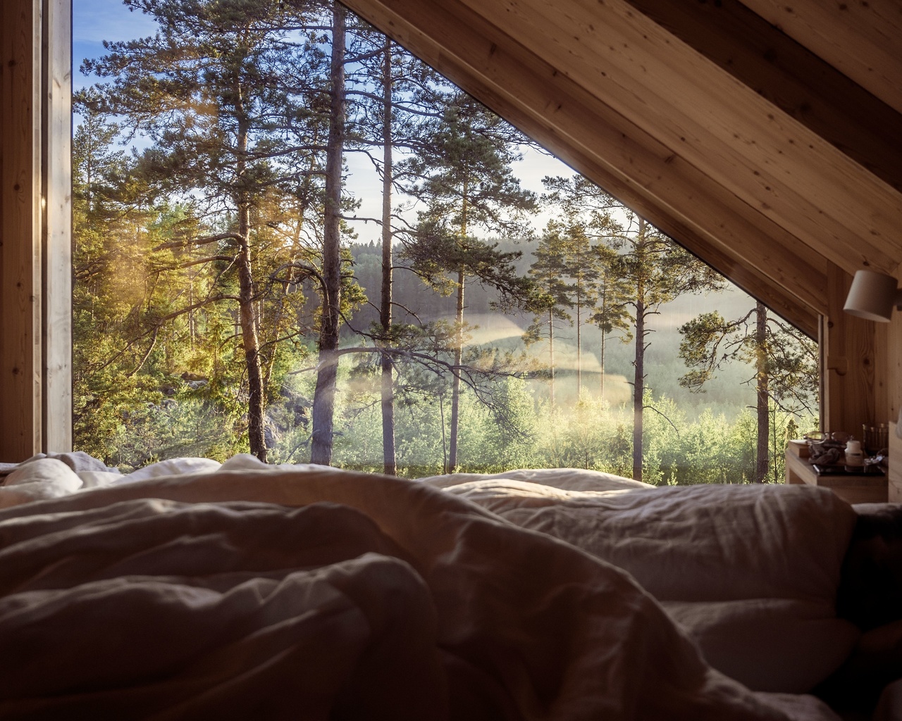 nature, hotel hilltop forest, finland