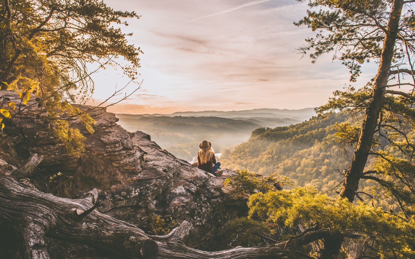 mountain landscape, woodlands, nature, hike