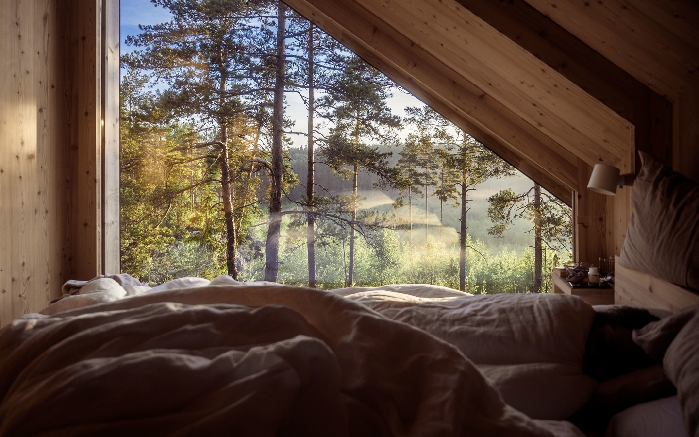 nature, hotel hilltop forest, finland