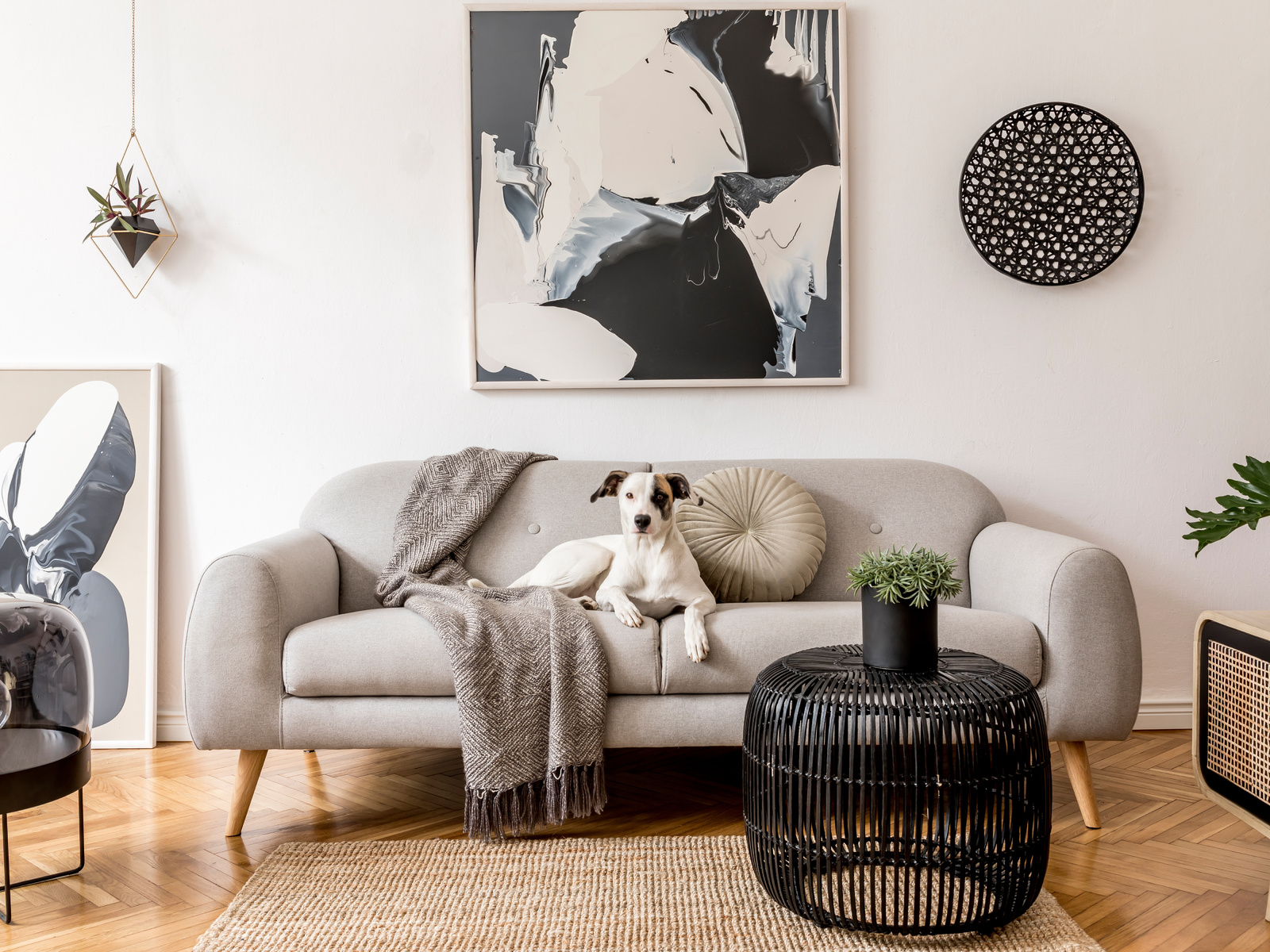 japandi living room, natural plants, grey couch