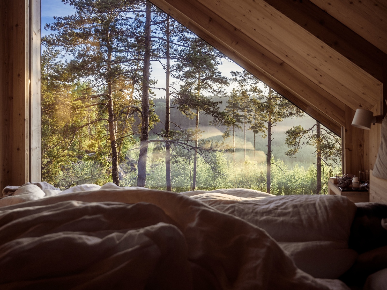 nature, hotel hilltop forest, finland