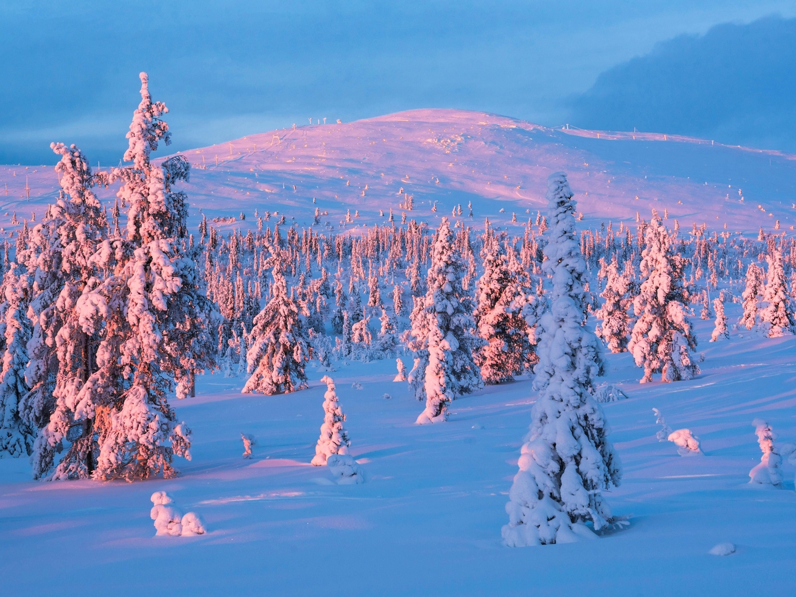 snow, winter, sunset, lapland, yllastunturi national park, finland