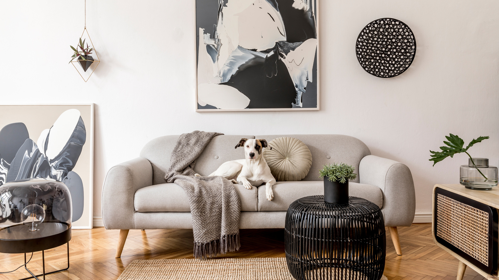 japandi living room, natural plants, grey couch