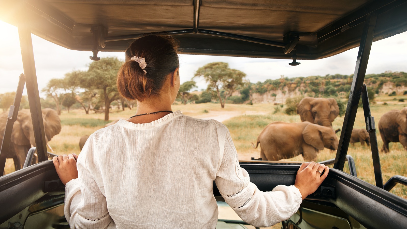 elephants, exklusive safari, african travel, arusha national park, tanzania