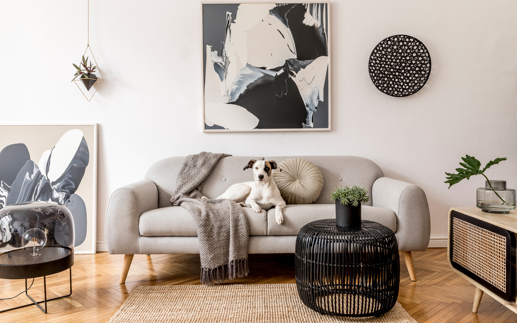 japandi living room, natural plants, grey couch