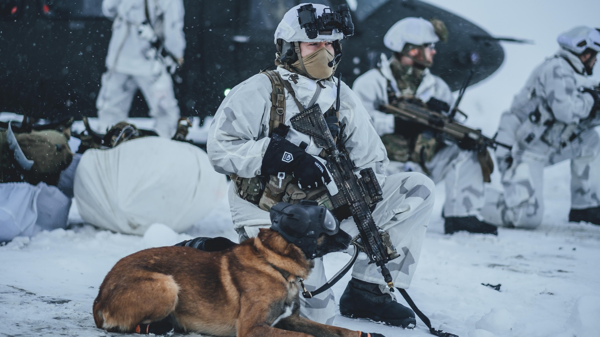 northern norway, exercise arctic hawk, norwegian coastal rangers