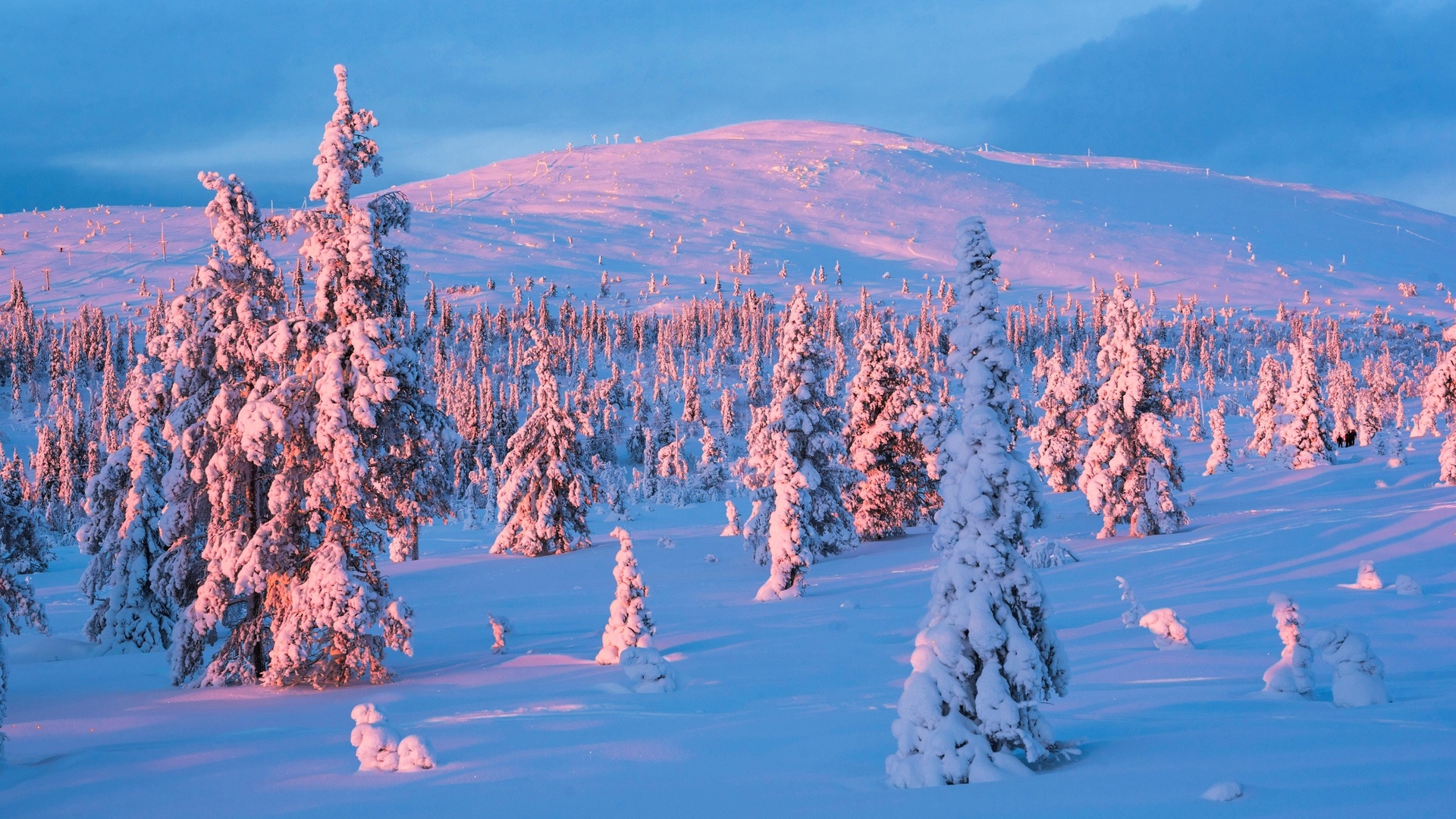 snow, winter, sunset, lapland, yllastunturi national park, finland