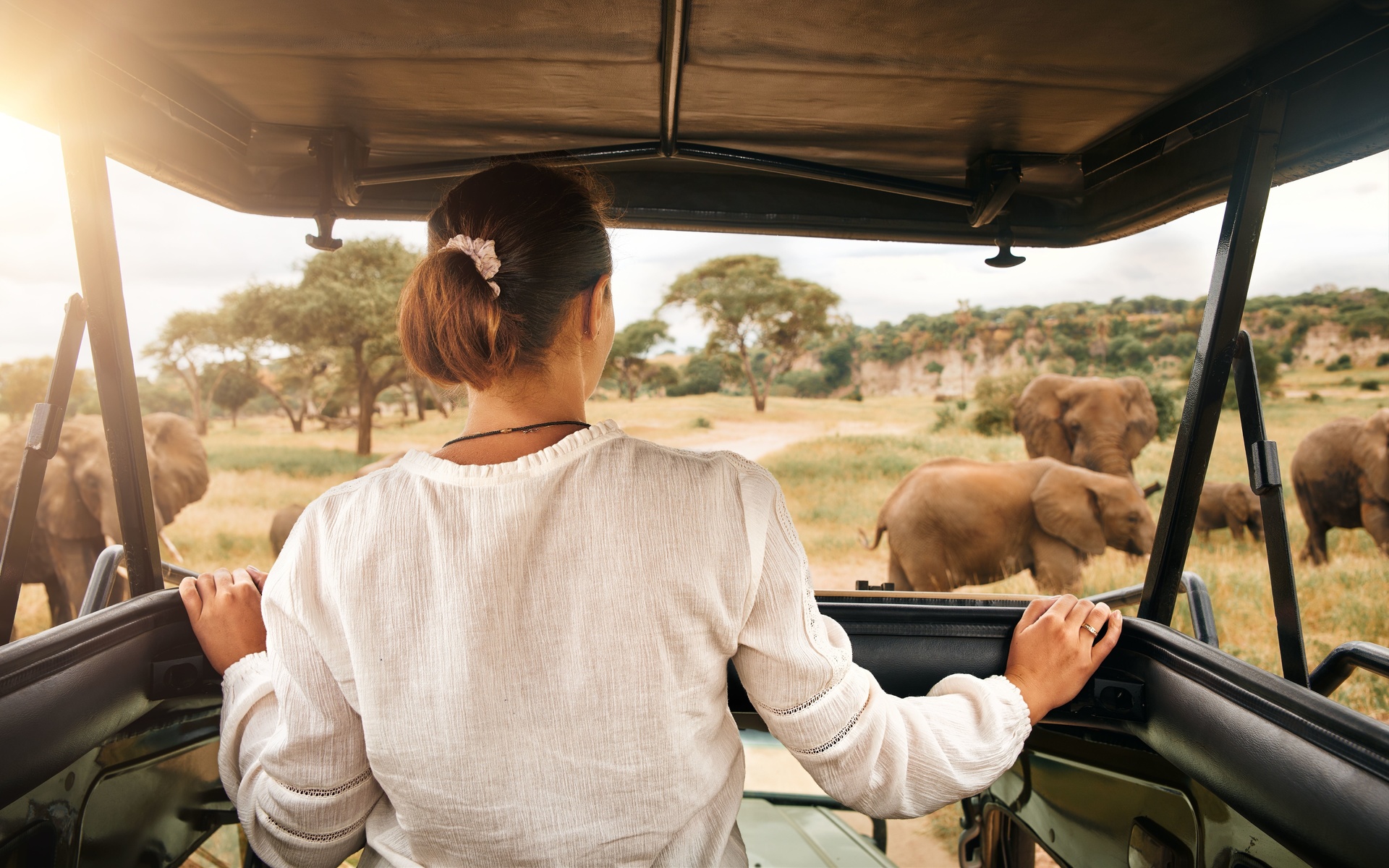 elephants, exklusive safari, african travel, arusha national park, tanzania