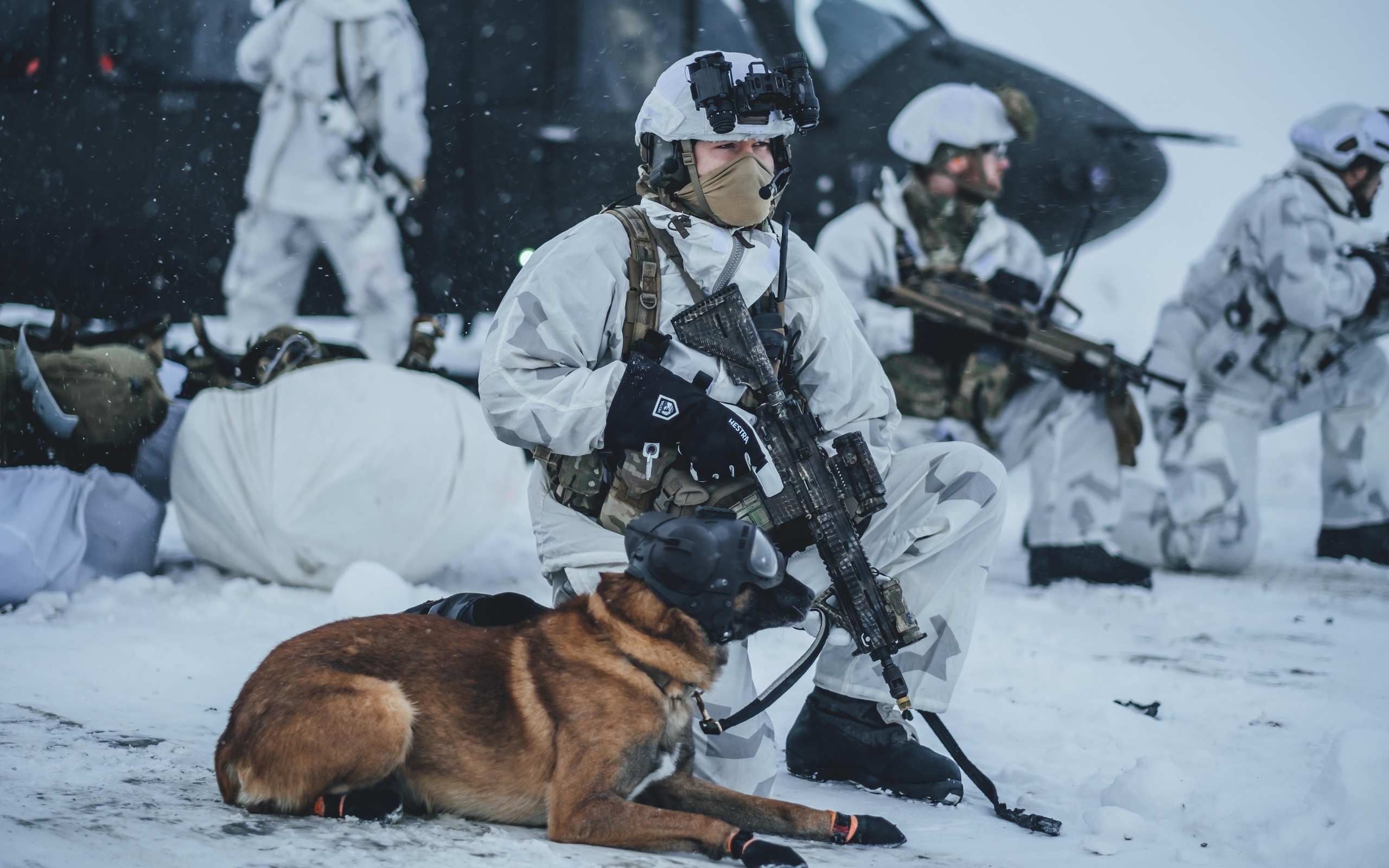 northern norway, exercise arctic hawk, norwegian coastal rangers