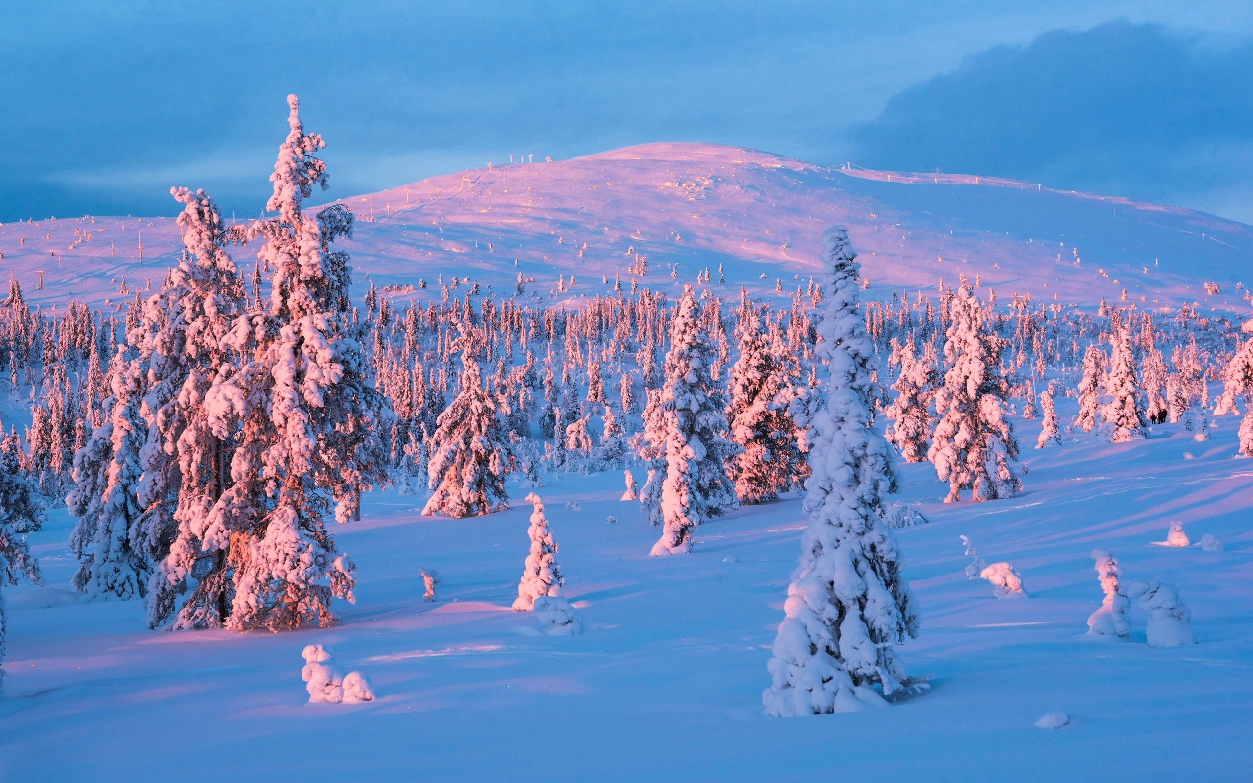 snow, winter, sunset, lapland, yllastunturi national park, finland