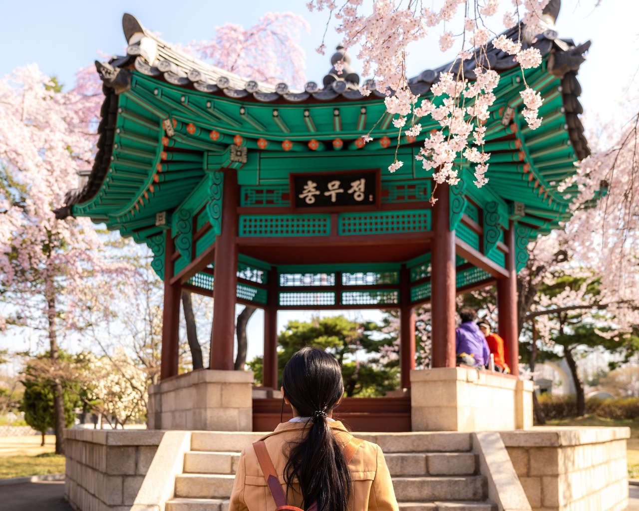 cherry blossom, park, seoul, south korea