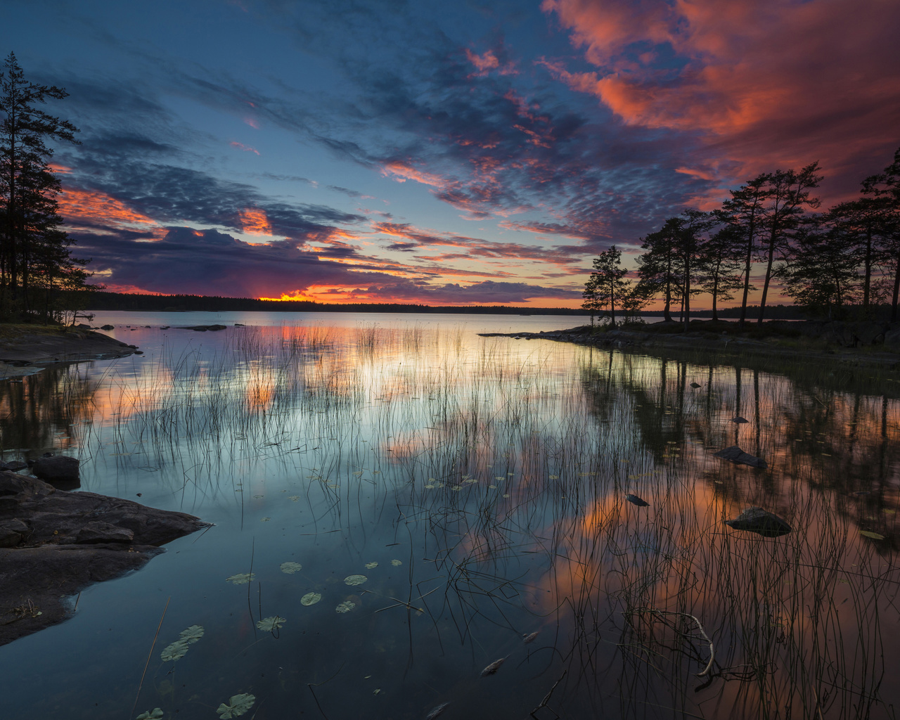 nature, lake at dusk, wood