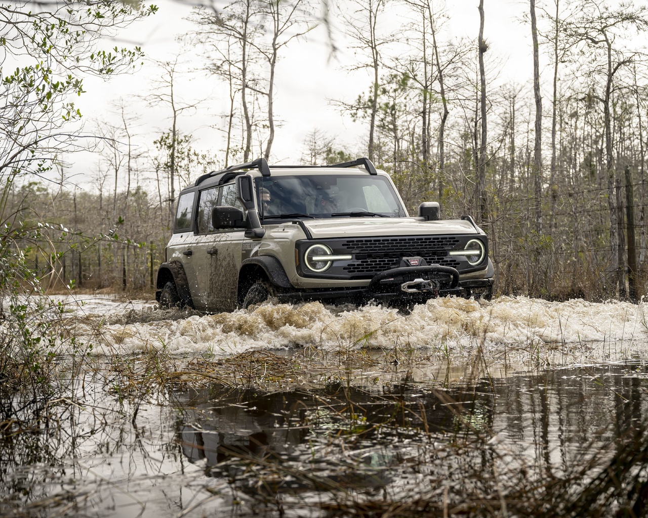 ford, sport utility vehicles, ford bronco everglades special edition, suv