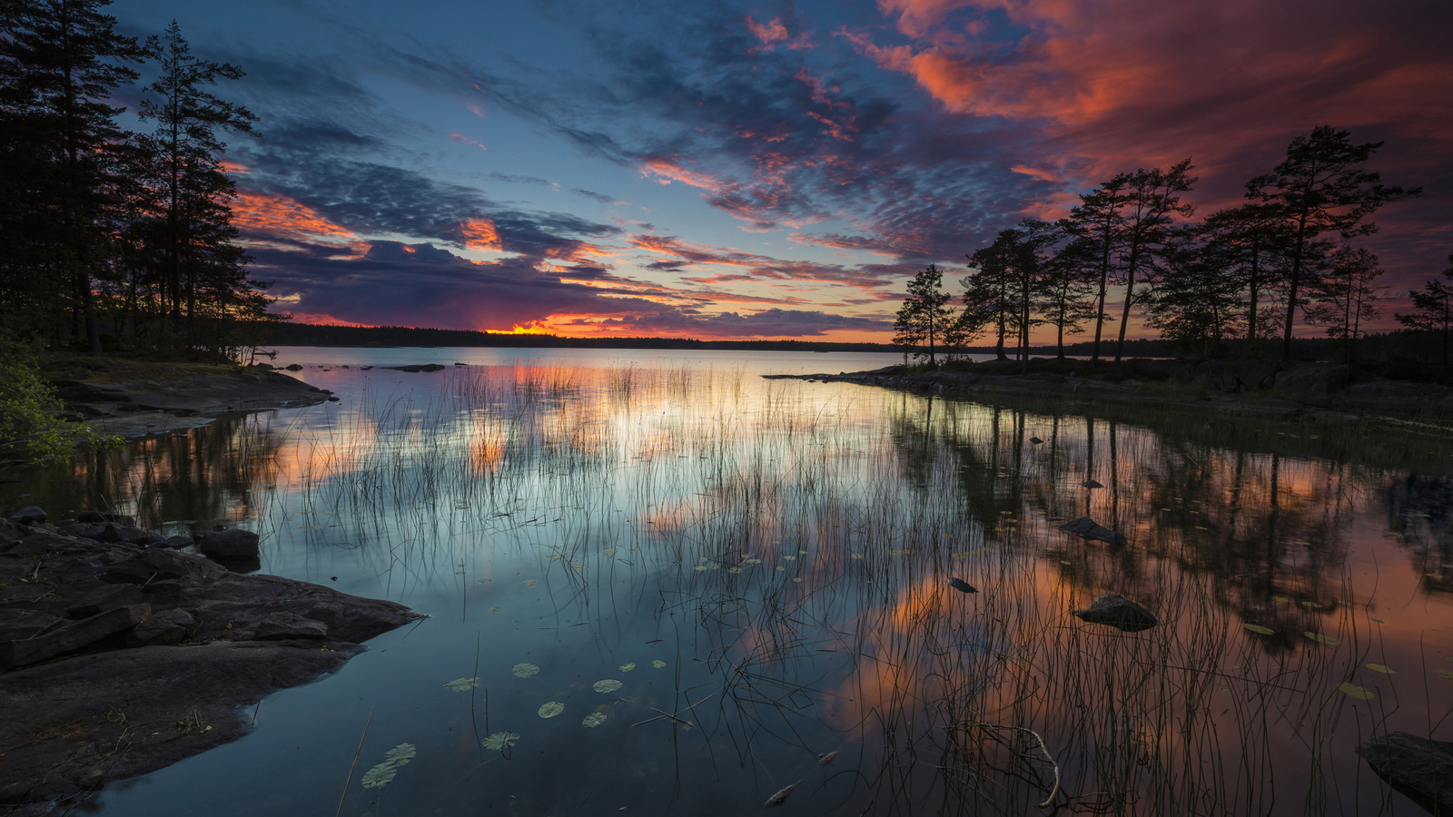 nature, lake at dusk, wood