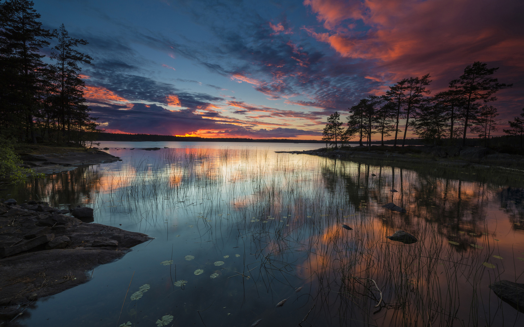 nature, lake at dusk, wood