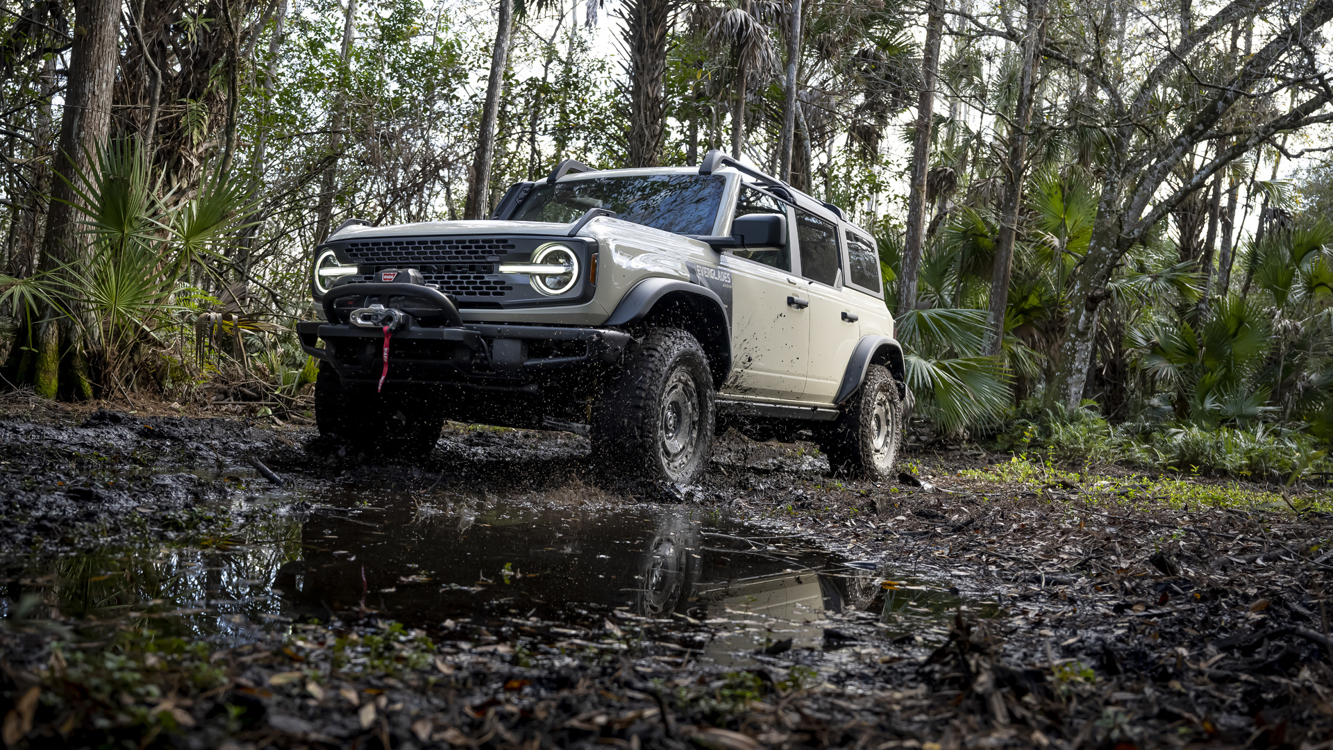 ford, sport utility vehicles, ford bronco everglades special edition, suv