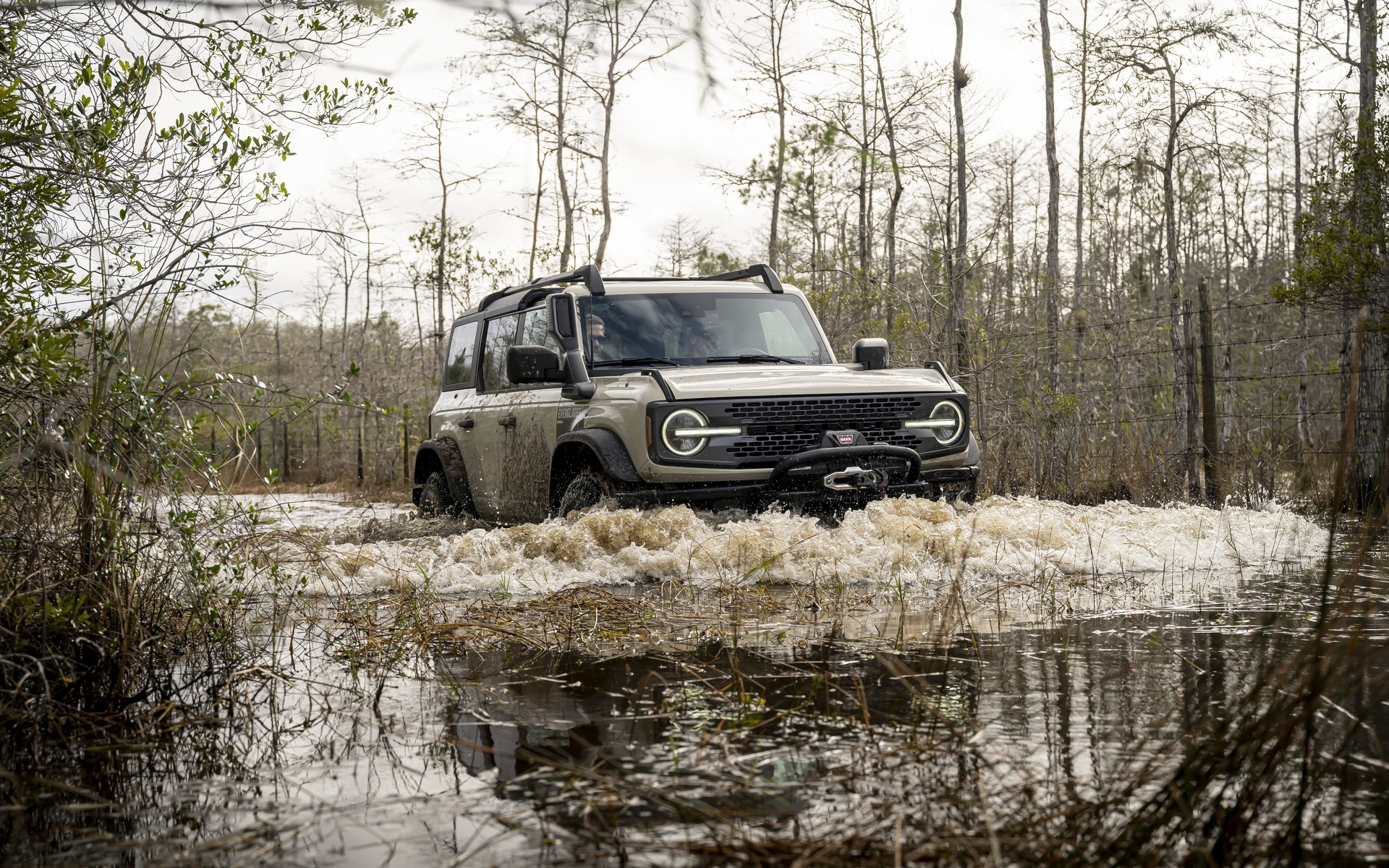 ford, sport utility vehicles, ford bronco everglades special edition, suv