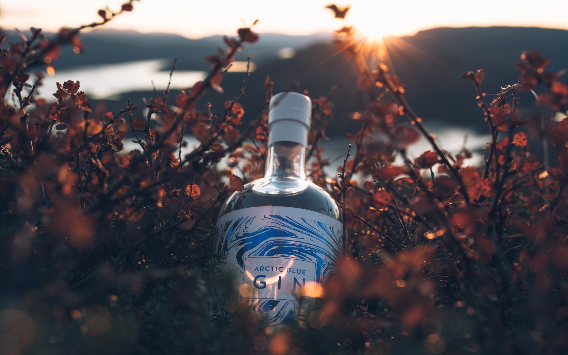 nature, arctic blue gin, finland