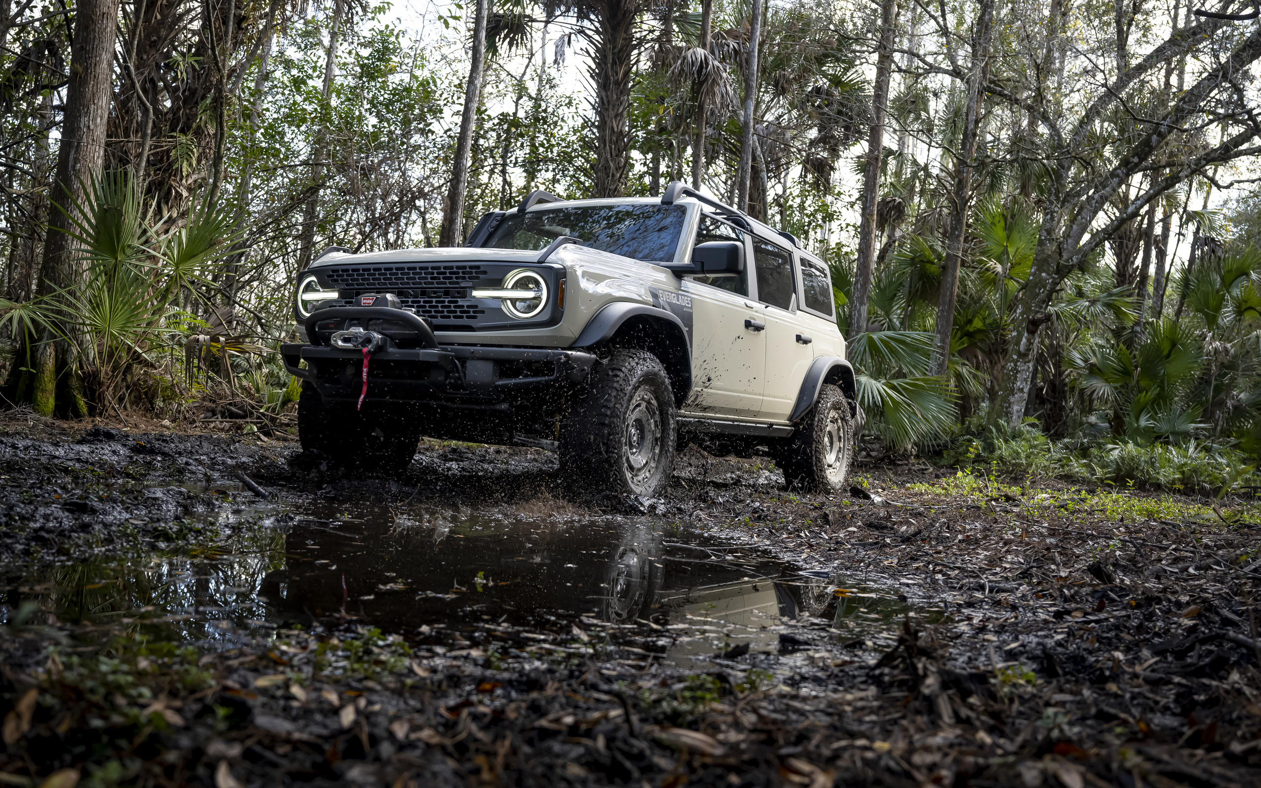 ford, sport utility vehicles, ford bronco everglades special edition, suv