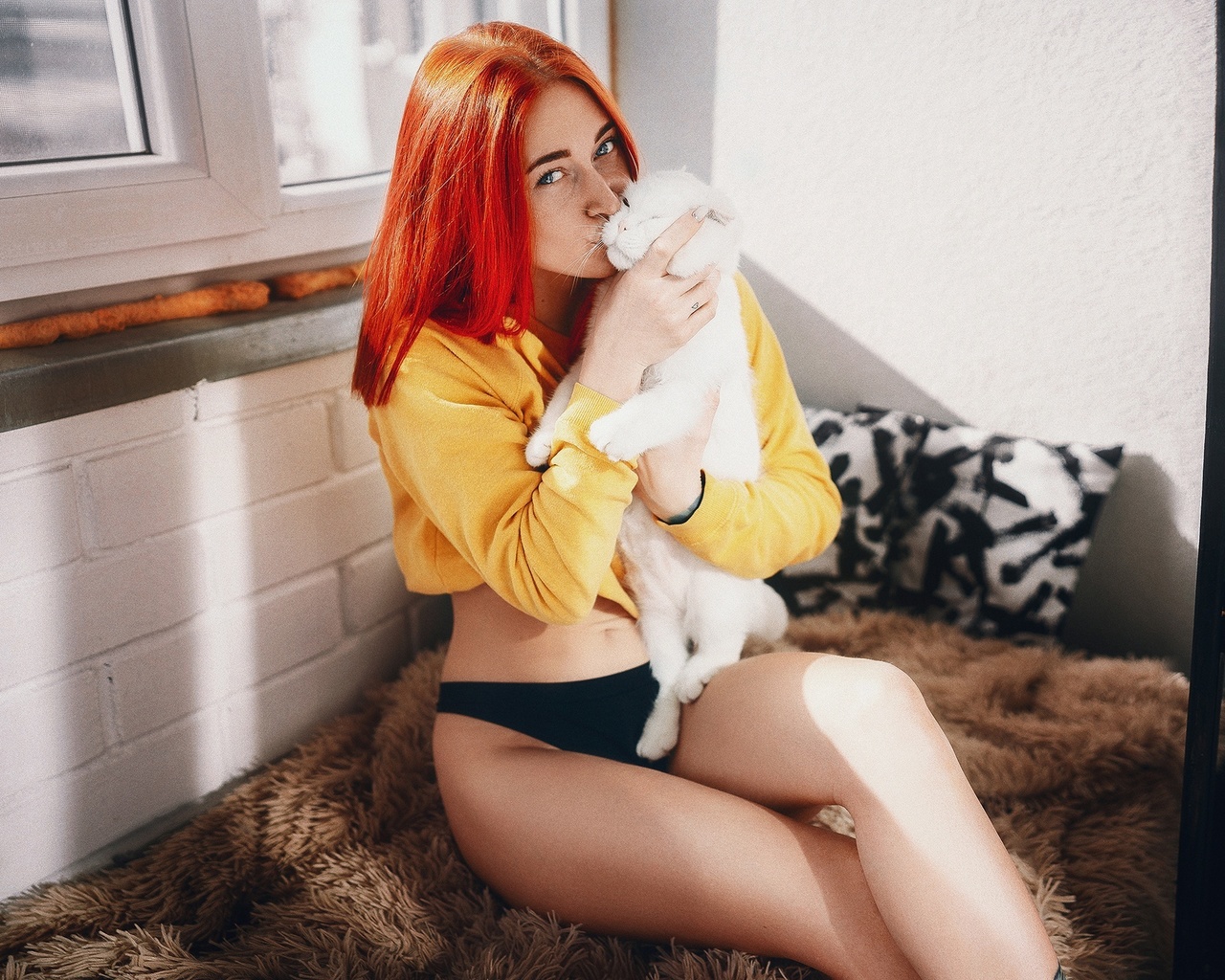 redhead, women, model, yellow sweater, sweater, panties, black panties, hips, cats, white cat, in bed, women indoors