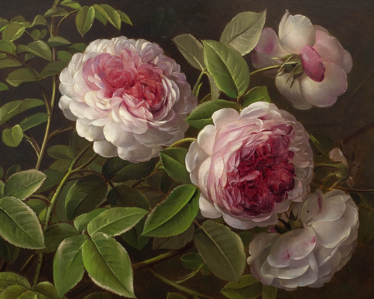 peonies, johan laurentz jensen, danish