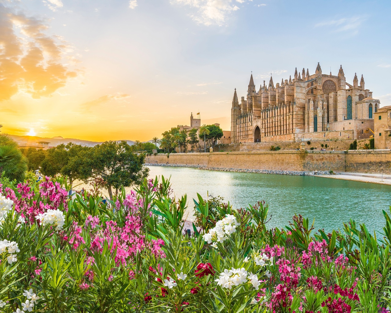 palma cathedral, palma de mallorca, mallorca, spain