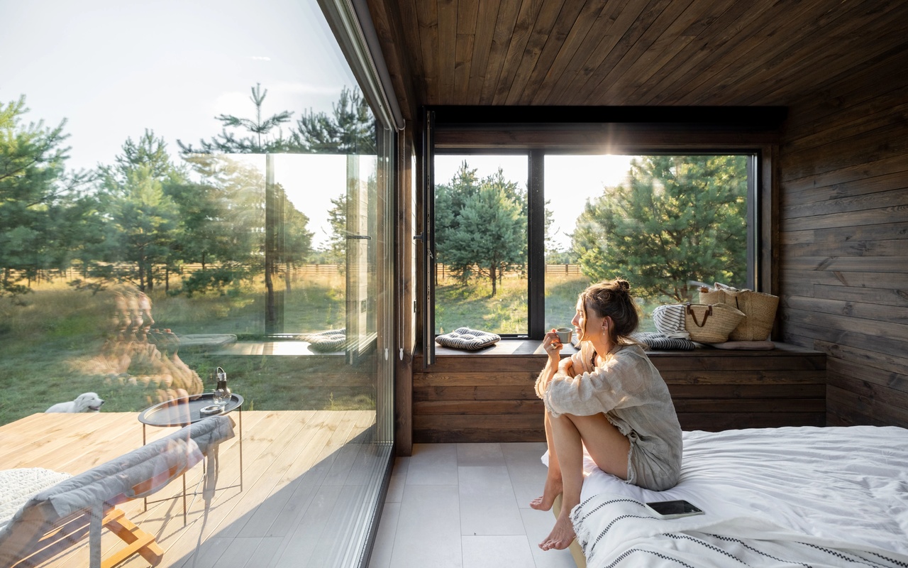 country house, panoramic windows, pine forest, nature