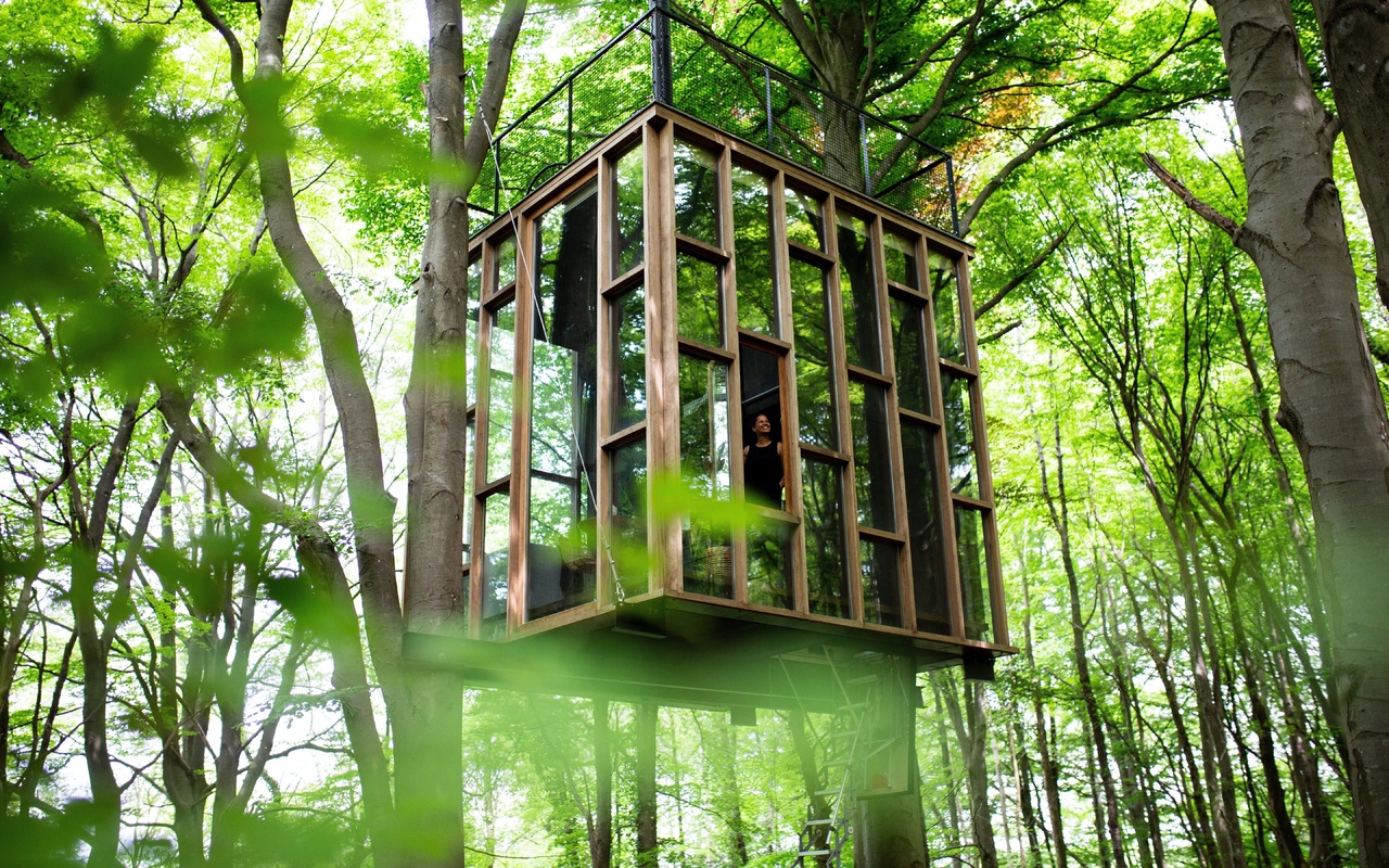 tree house, glass cabin, minimalist architecture, luxurious sanctuary, belgian ardennes