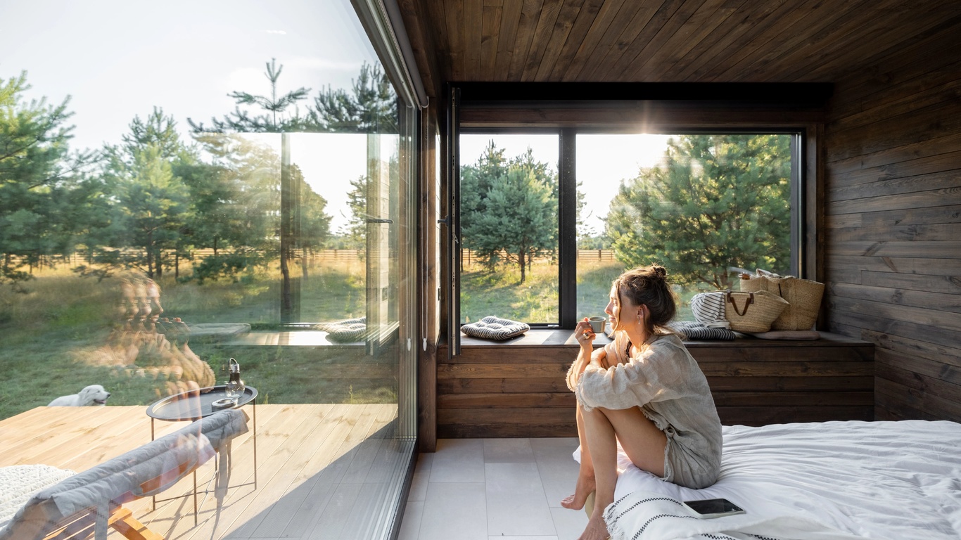 country house, panoramic windows, pine forest, nature