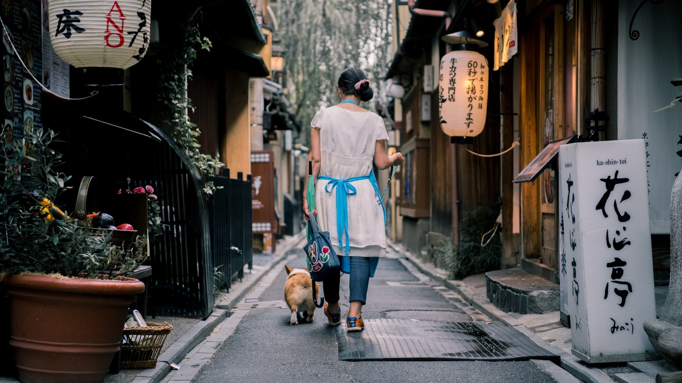 walking the dog, kyoto, japan