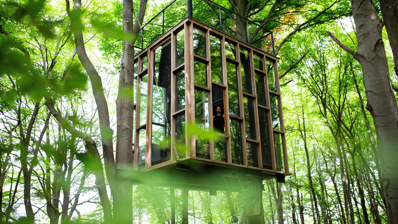 tree house, glass cabin, minimalist architecture, luxurious sanctuary, belgian ardennes