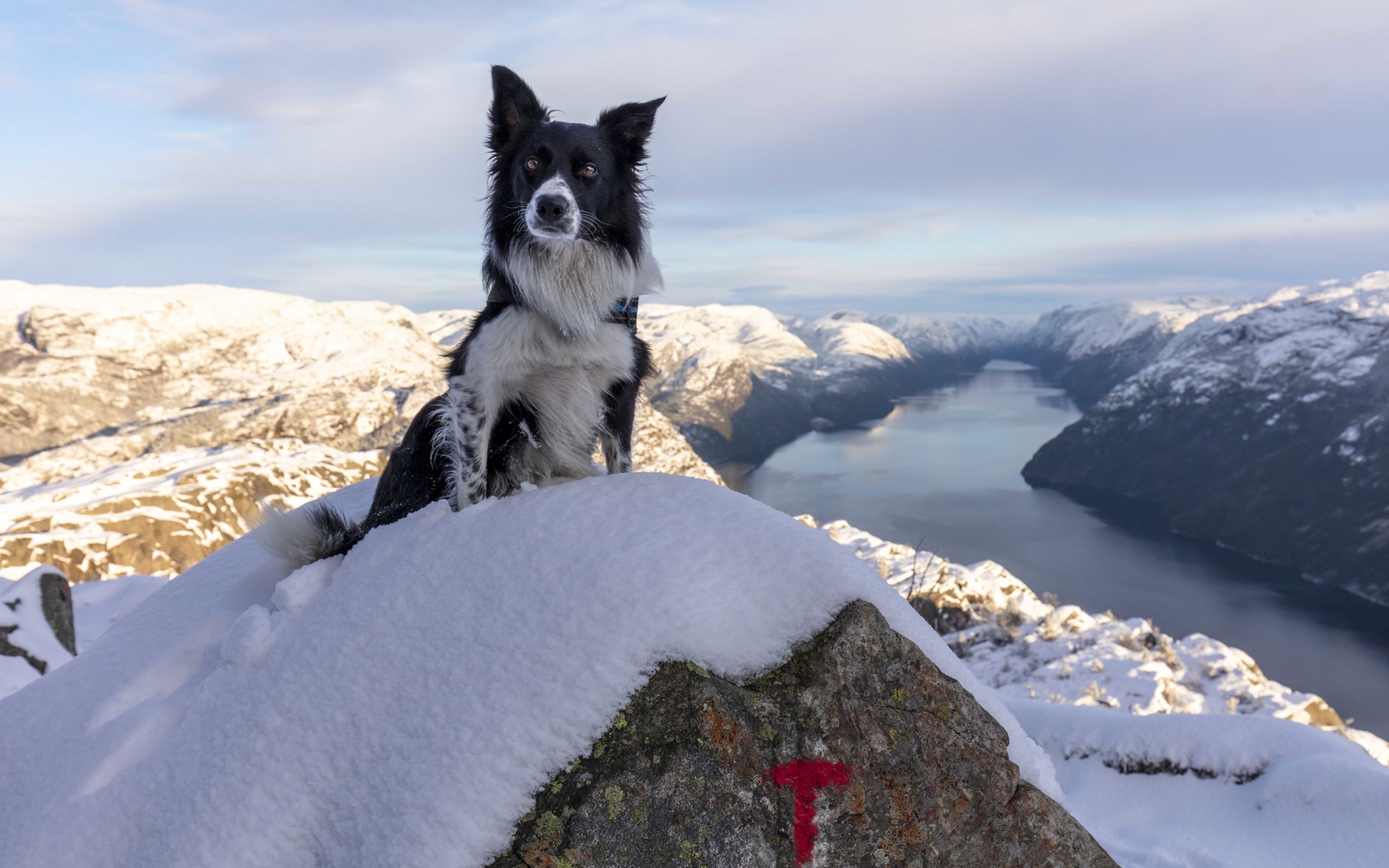 preikestolen, pulpit rock, rogaland county, norway