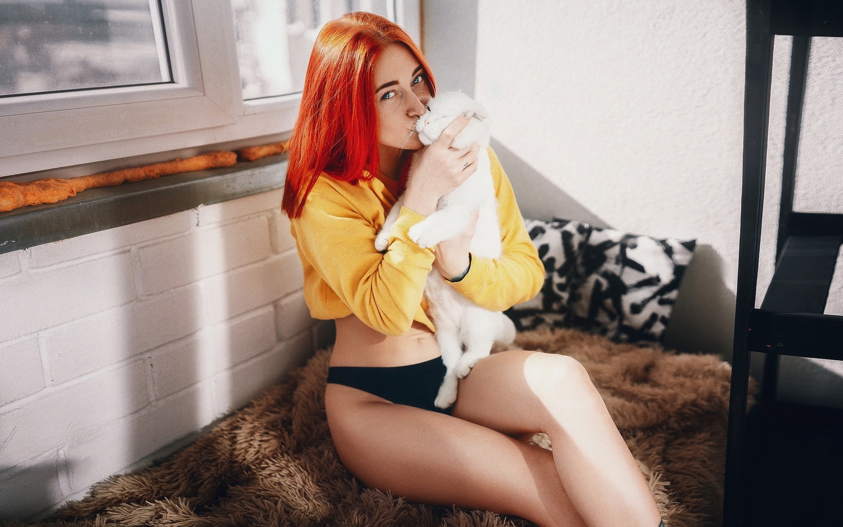 redhead, women, model, yellow sweater, sweater, panties, black panties, hips, cats, white cat, in bed, women indoors