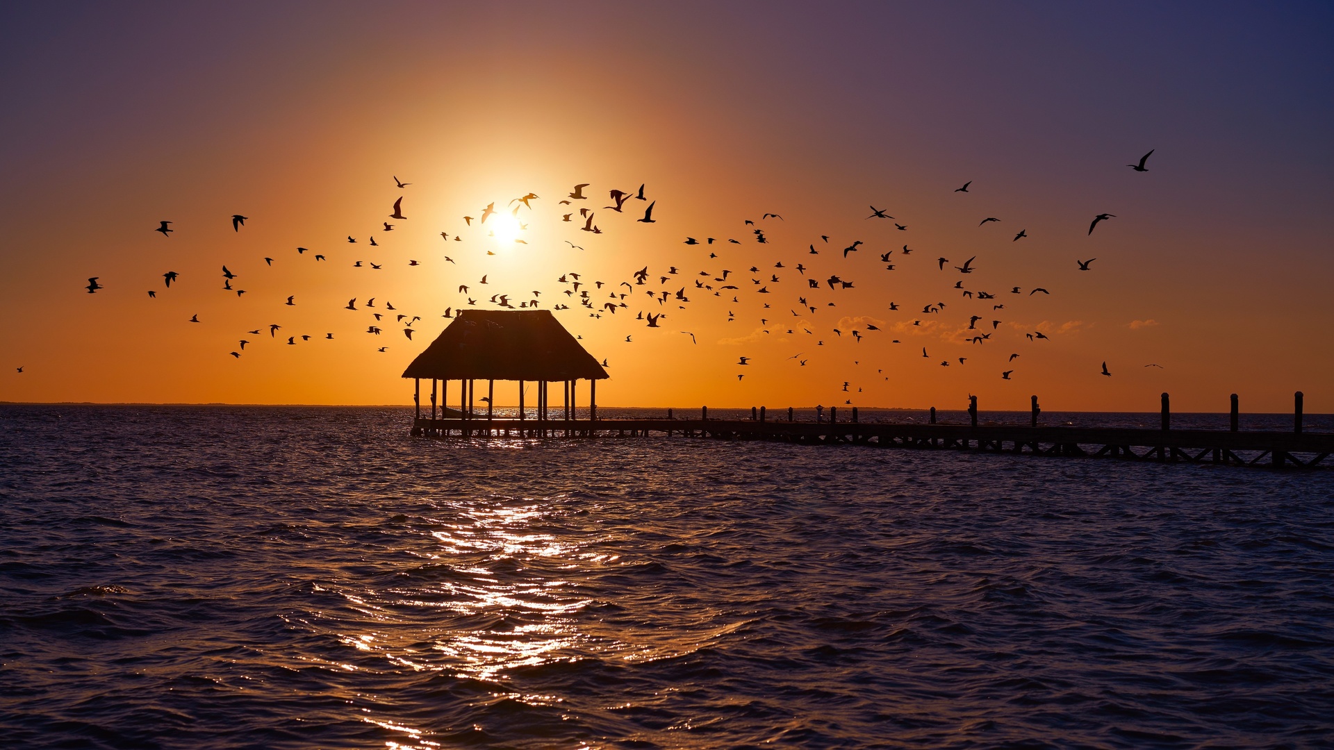 relaxed island, yucatan channel, isla holbox, mexico