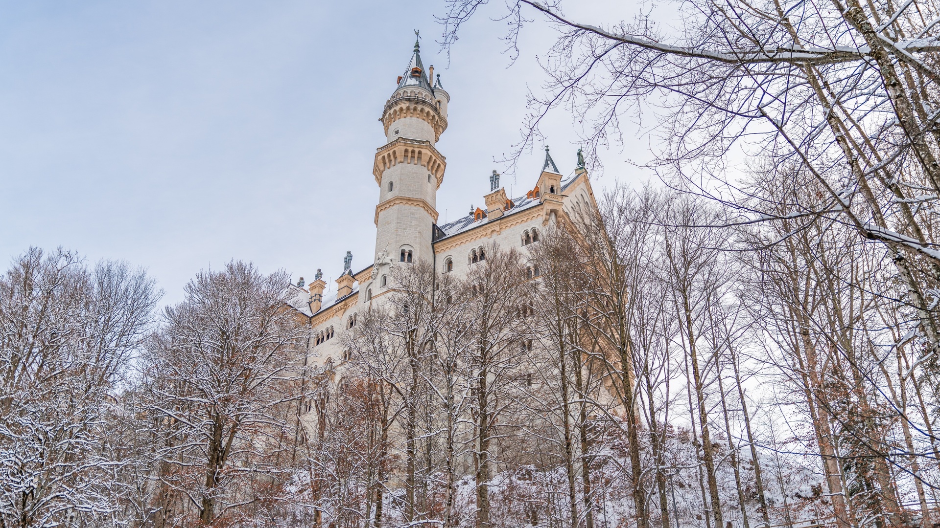 winter, neuschwanstein castle, southern bavarian, germany