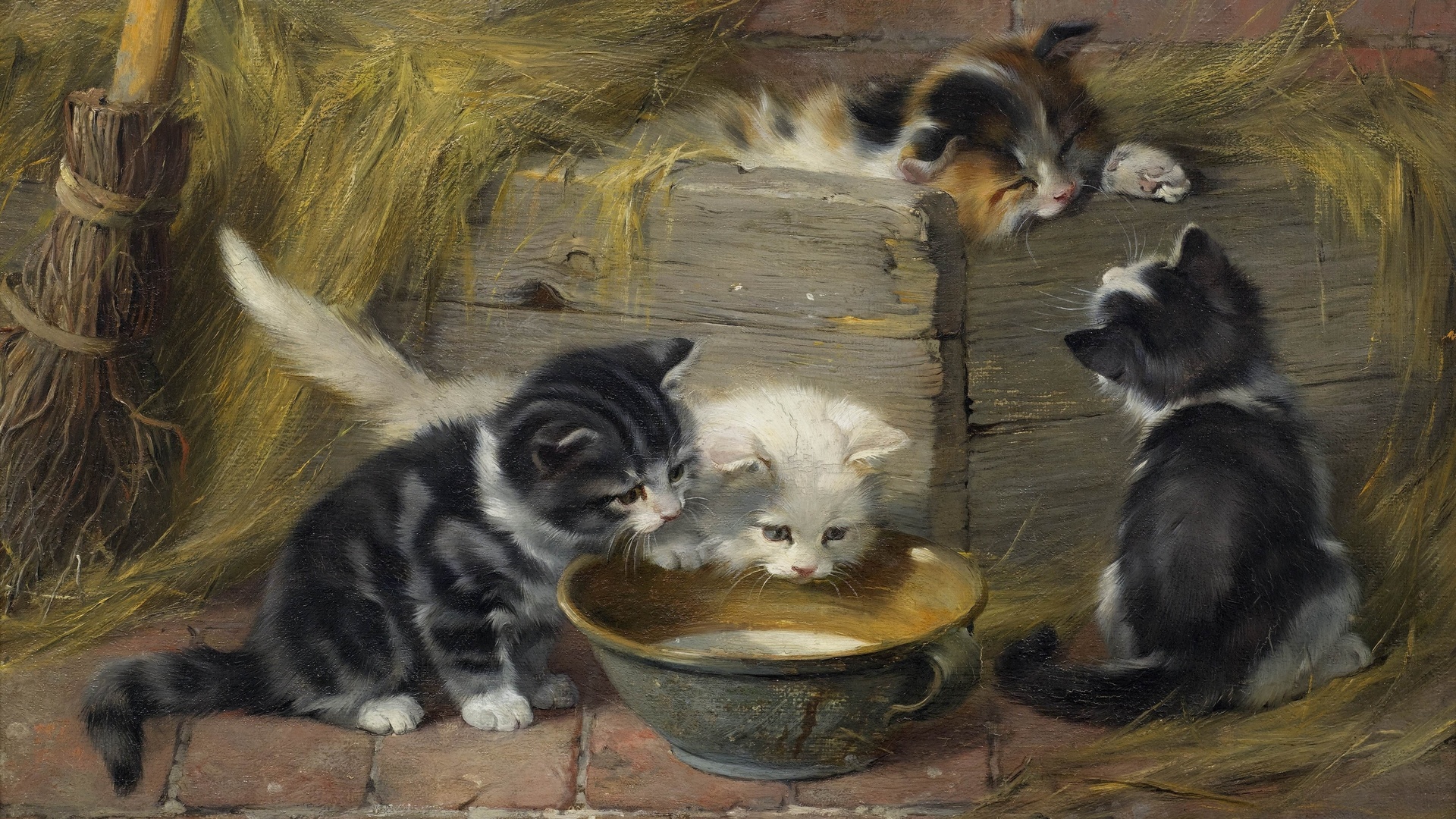 julius adam younger, german, four cats with a dish of milk