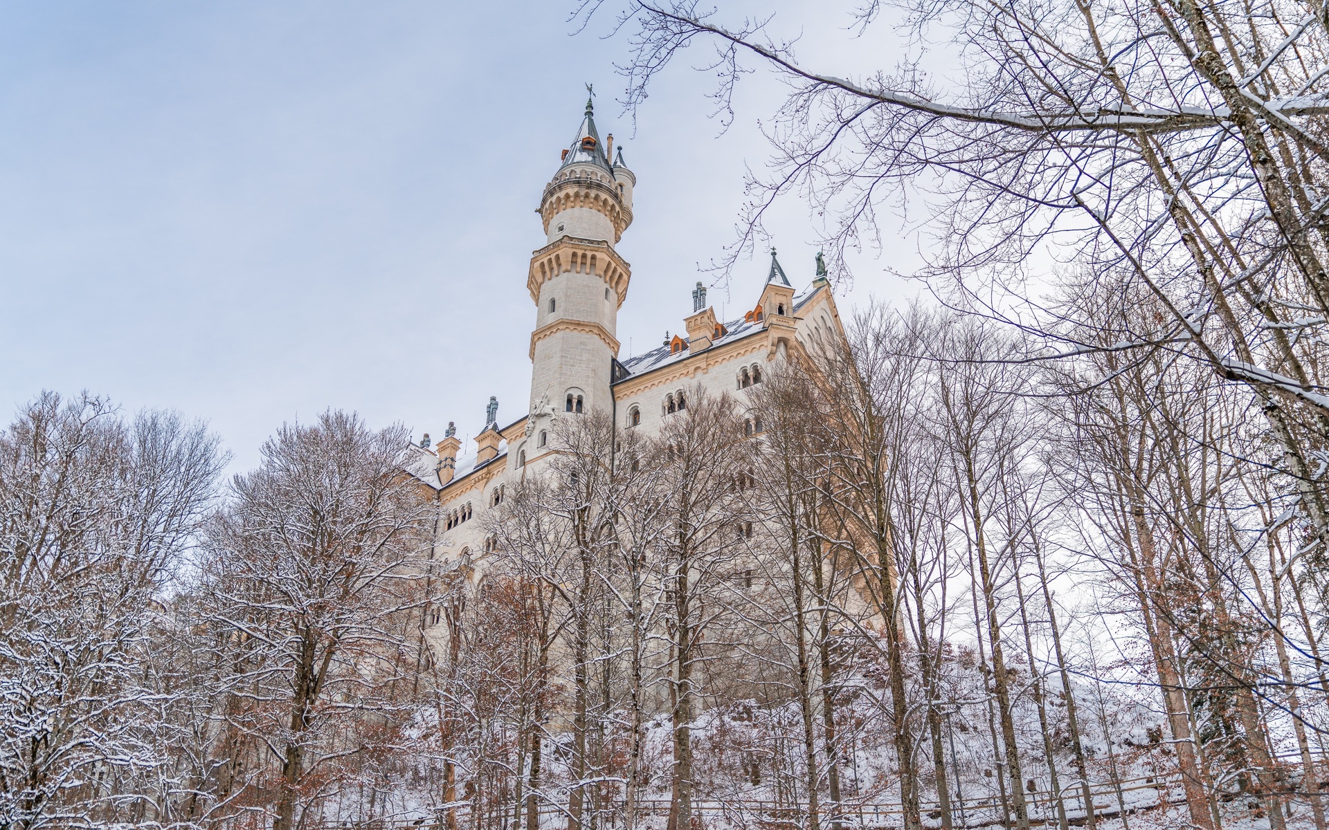 winter, neuschwanstein castle, southern bavarian, germany