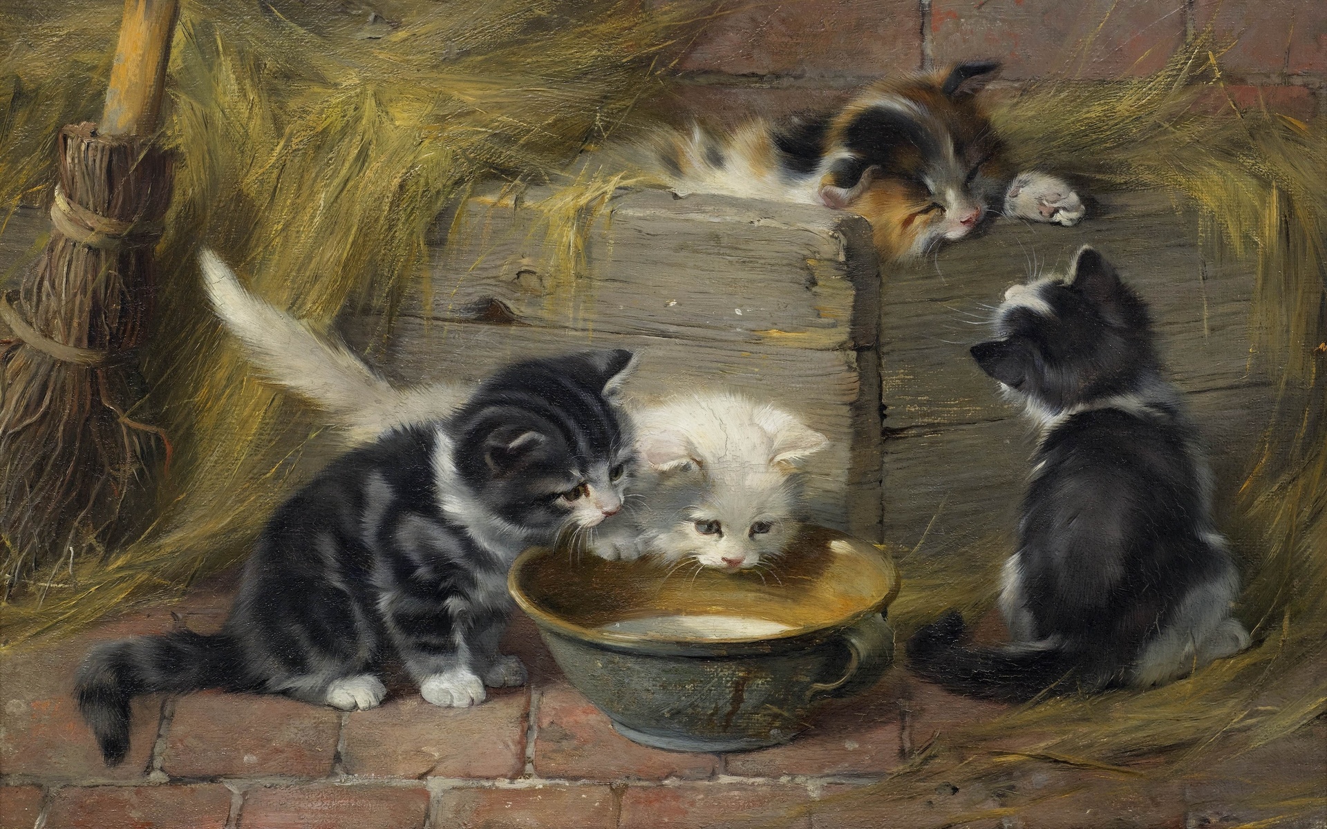 julius adam younger, german, four cats with a dish of milk