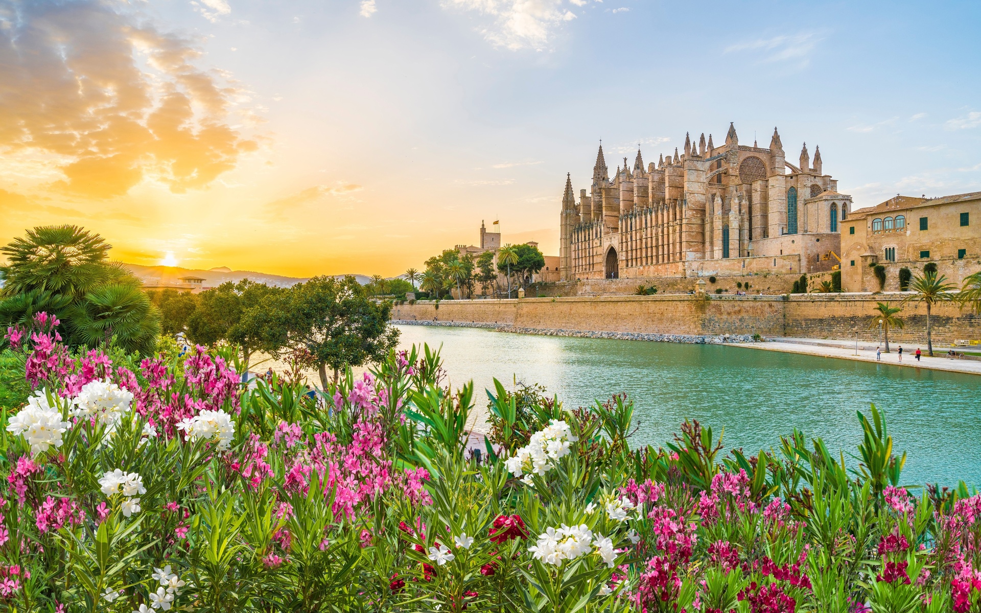 palma cathedral, palma de mallorca, mallorca, spain