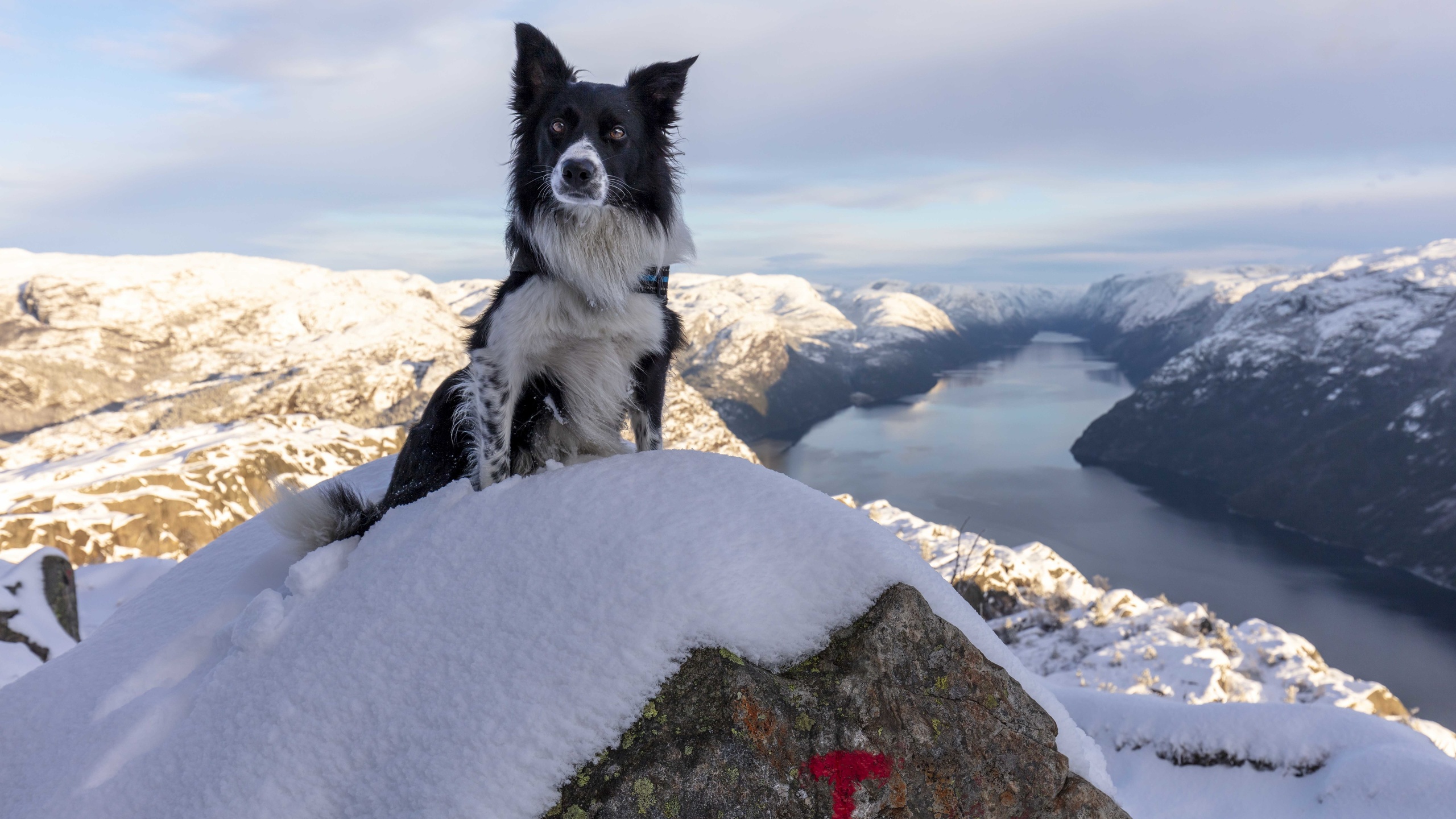 preikestolen, pulpit rock, rogaland county, norway