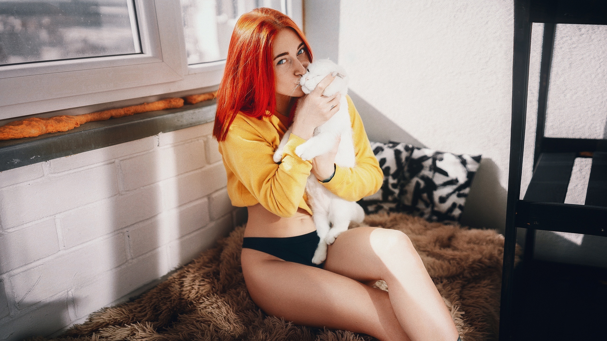 redhead, women, model, yellow sweater, sweater, panties, black panties, hips, cats, white cat, in bed, women indoors