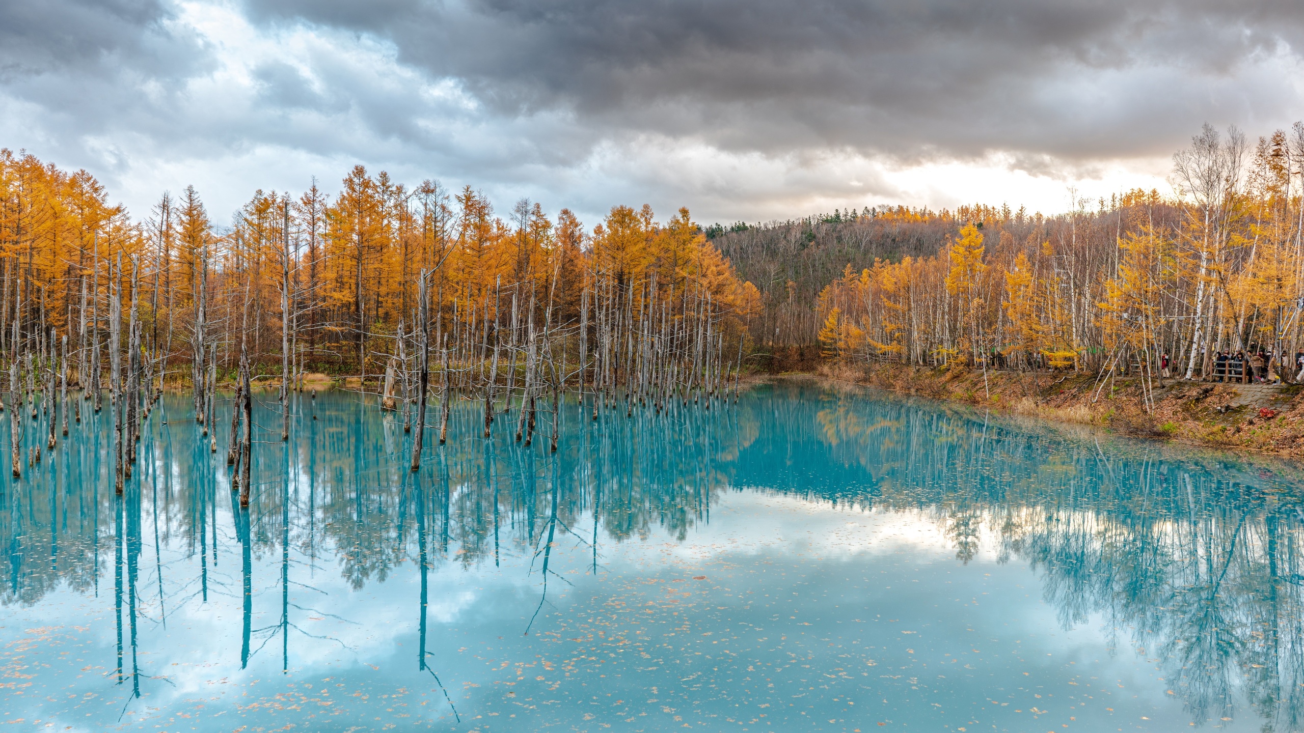 blue pond, hokkaido, japan