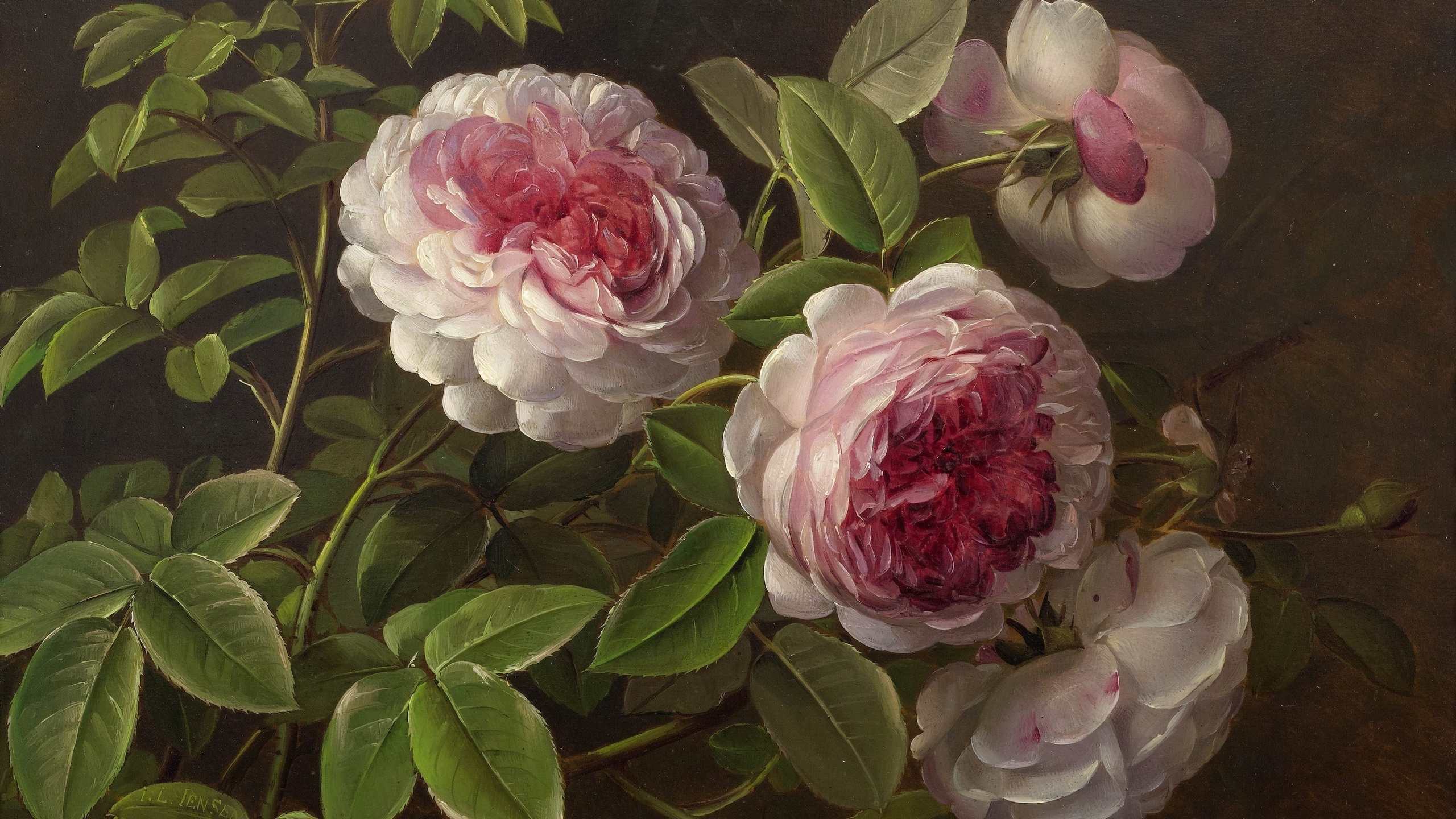 peonies, johan laurentz jensen, danish