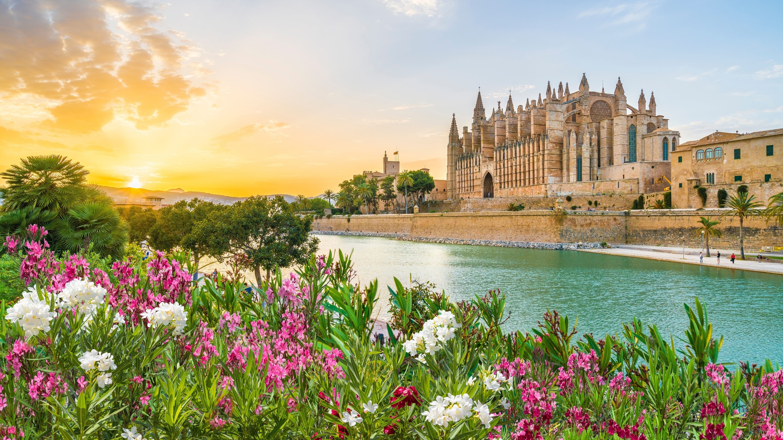 palma cathedral, palma de mallorca, mallorca, spain