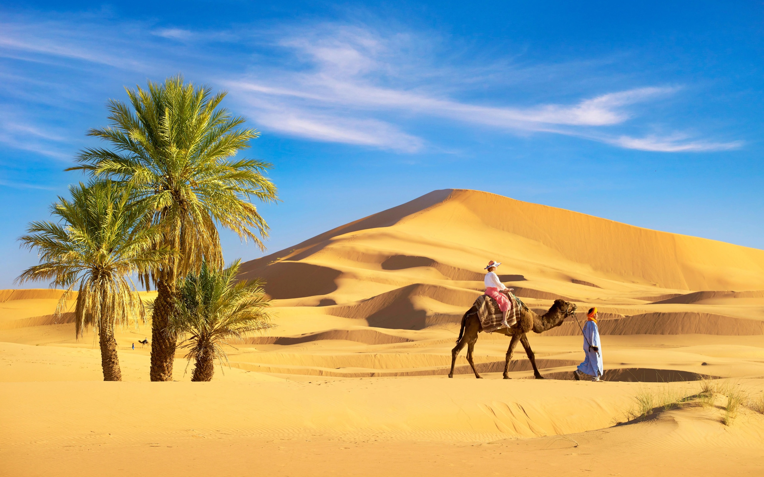 dunes, erg chebbi desert, morocco