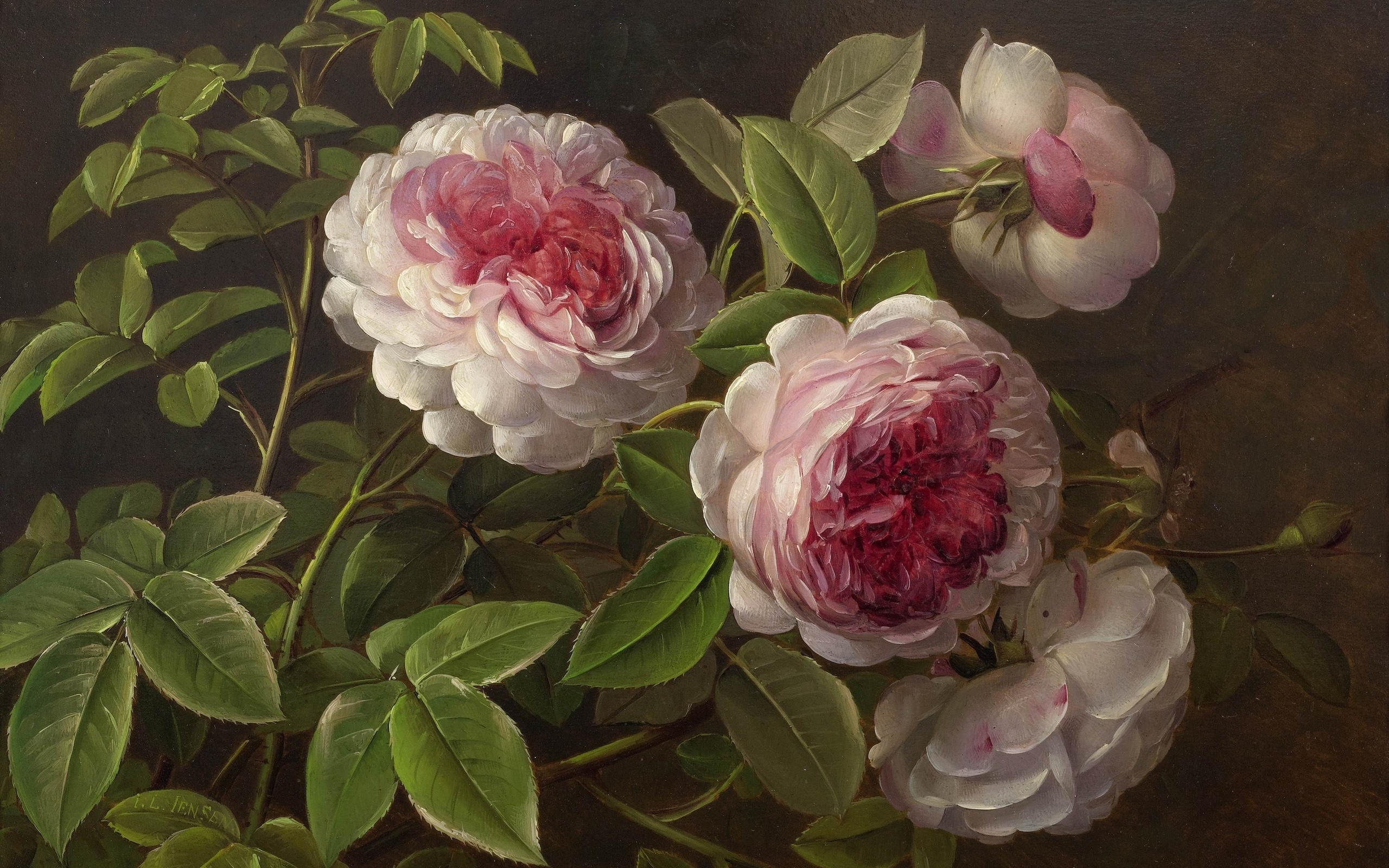 peonies, johan laurentz jensen, danish