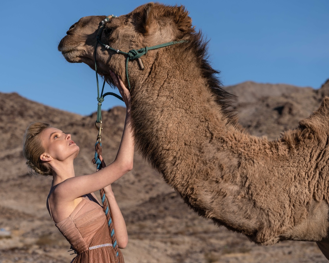 northern mojave, nevada, desert fashion circus