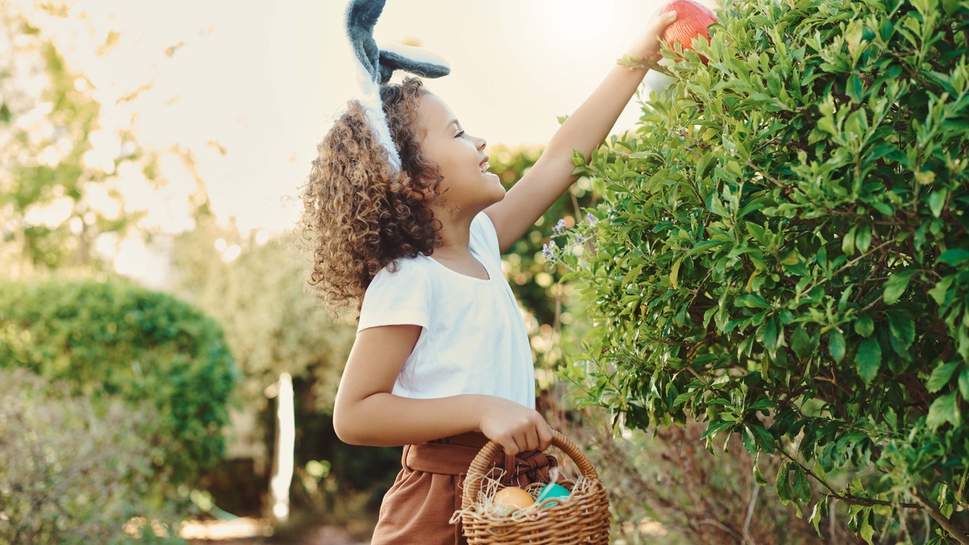 easter egg hunt, easter, chocolate eggs