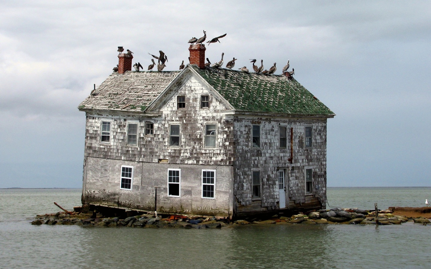 abandoned place, holland island, chesapeake bay